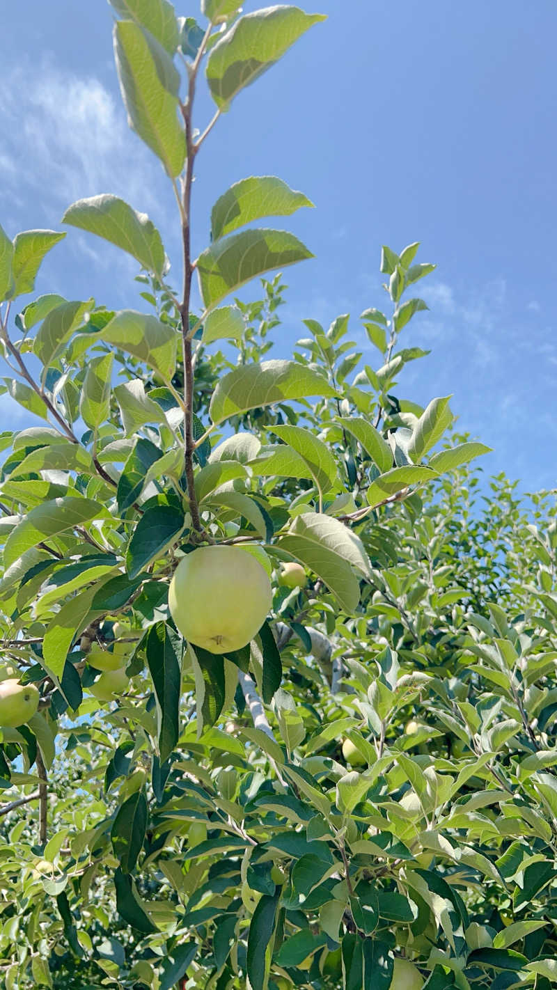 ノリダーさんの赤井川カルデラ温泉・保養センターのサ活写真