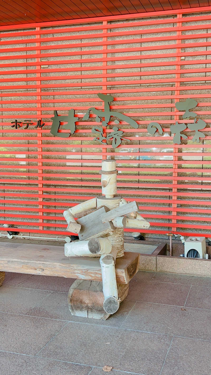 ノリダーさんのホテル甘露の森のサ活写真