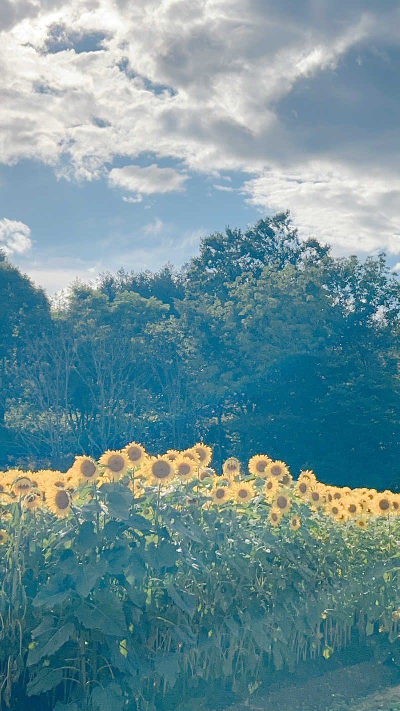 ノリダーさんのホテル甘露の森のサ活写真