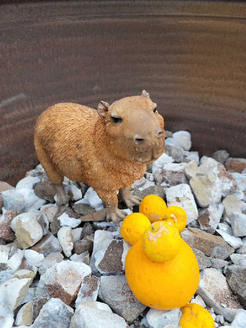 kazuさんの富士山天然水SPA サウナ鷹の湯のサ活写真