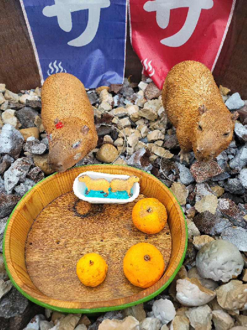 kazuさんの富士山天然水SPA サウナ鷹の湯のサ活写真