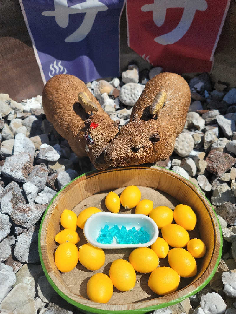 kazuさんの富士山天然水SPA サウナ鷹の湯のサ活写真