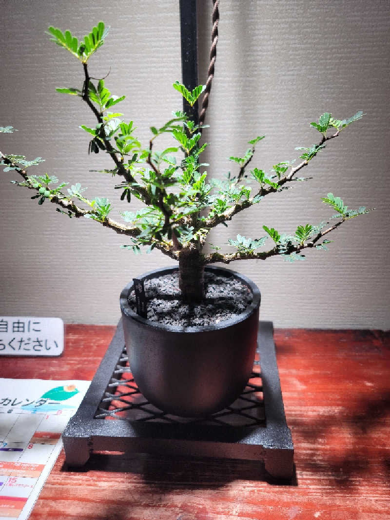 kazuさんの東静岡 天然温泉 柚木の郷のサ活写真