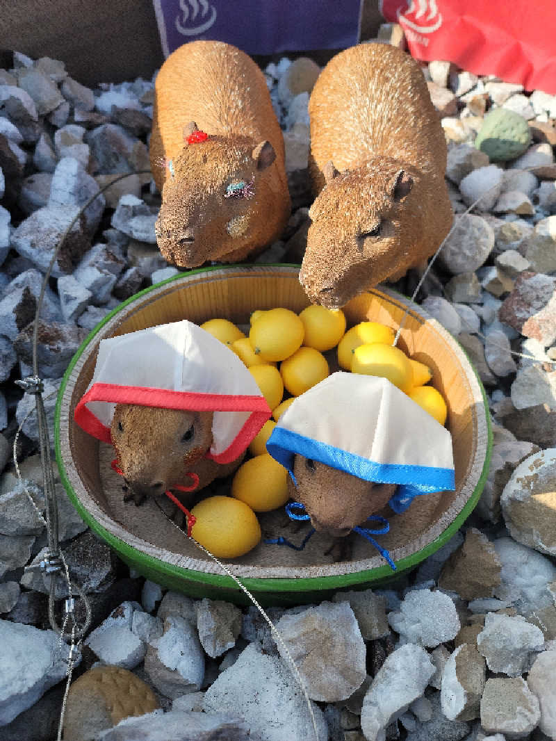 kazuさんの富士山天然水SPA サウナ鷹の湯のサ活写真