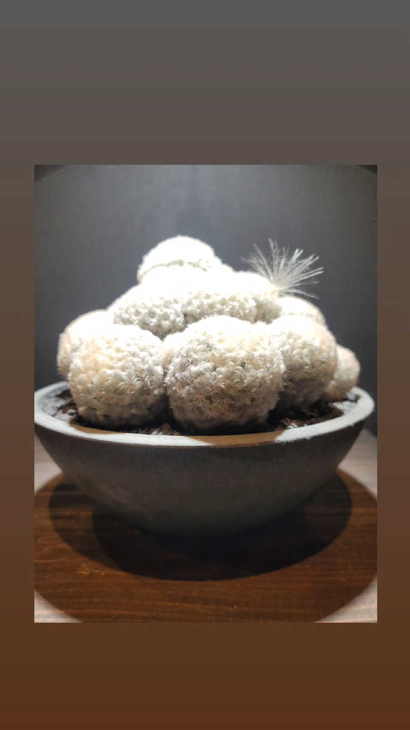 kazuさんの東静岡 天然温泉 柚木の郷のサ活写真