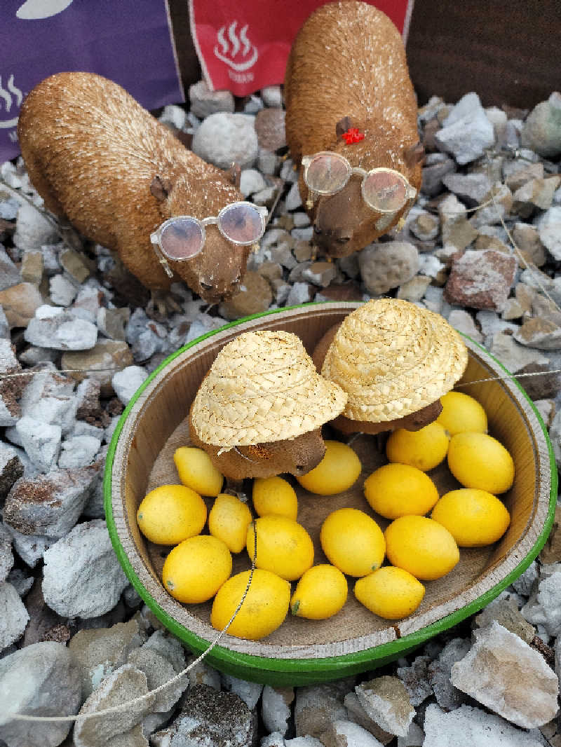 kazuさんの富士山天然水SPA サウナ鷹の湯のサ活写真