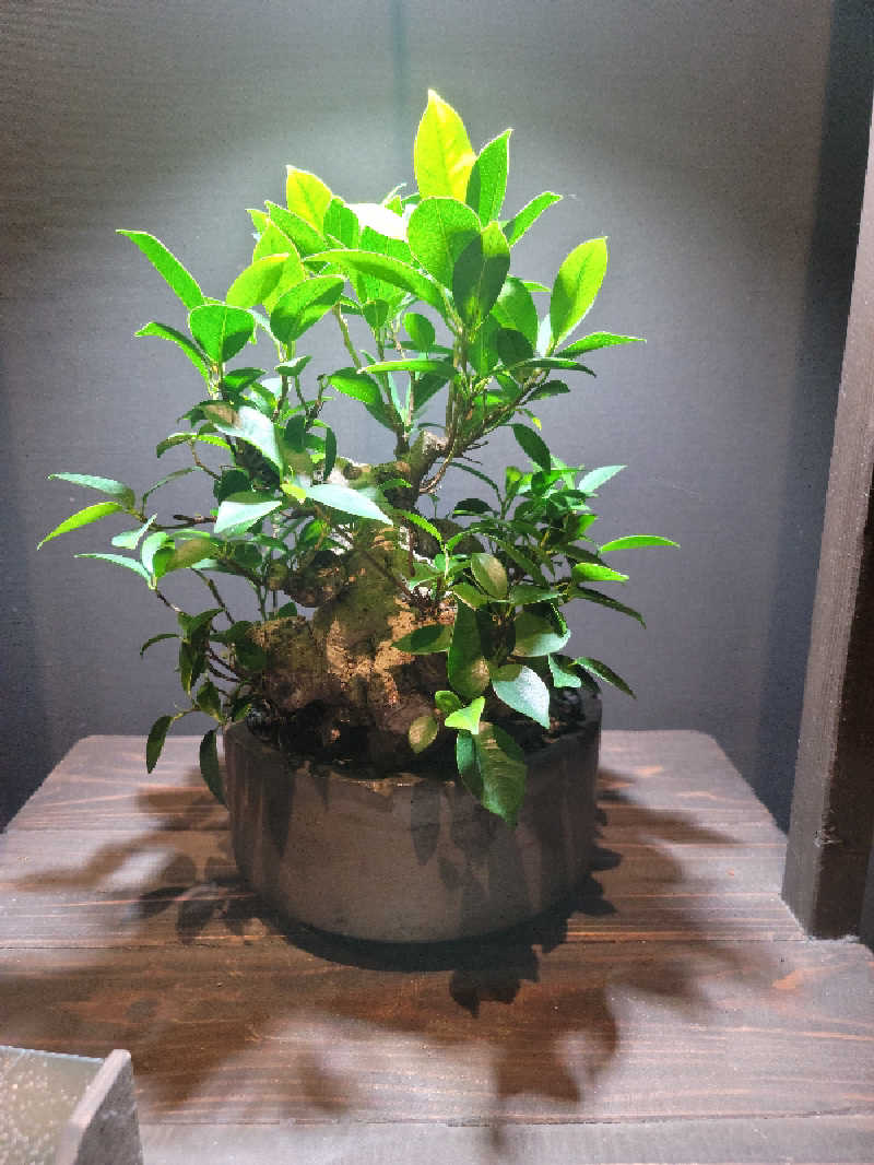 kazuさんの東静岡 天然温泉 柚木の郷のサ活写真