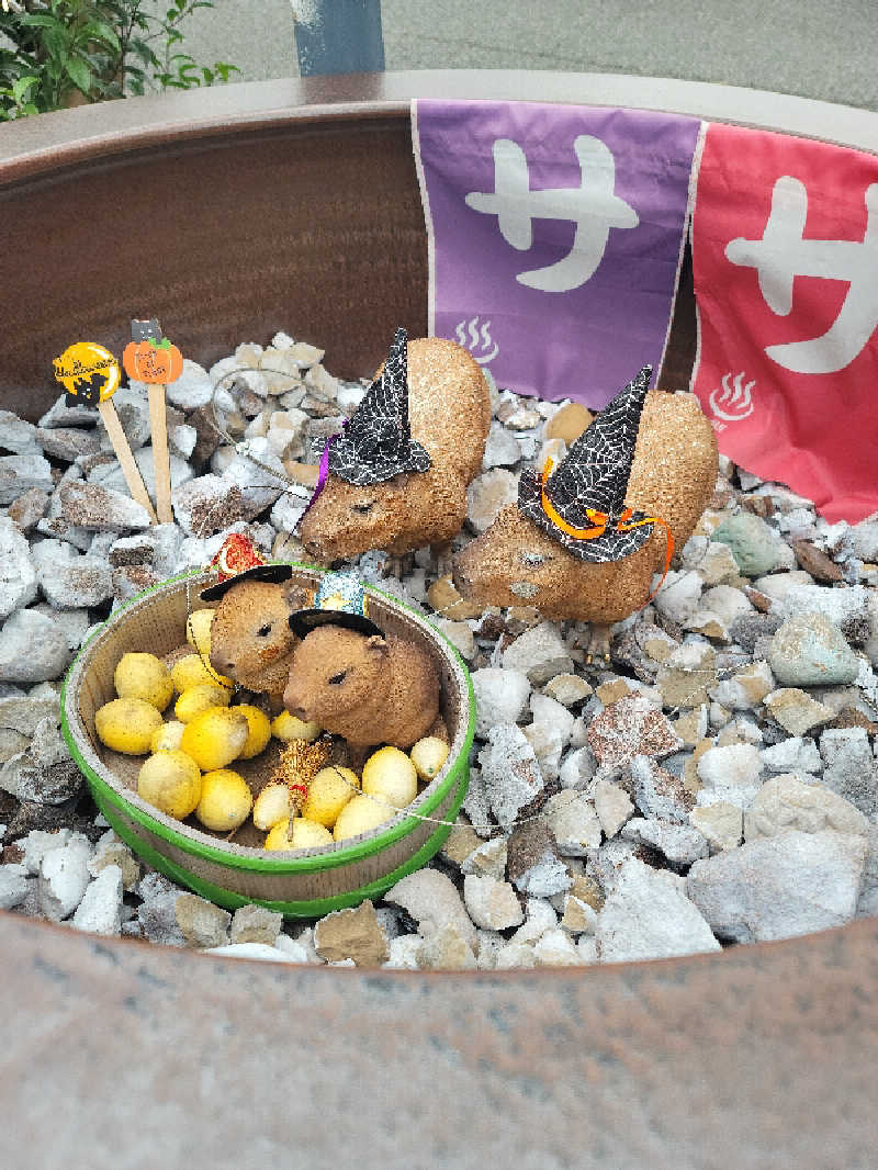 kazuさんの富士山天然水SPA サウナ鷹の湯のサ活写真