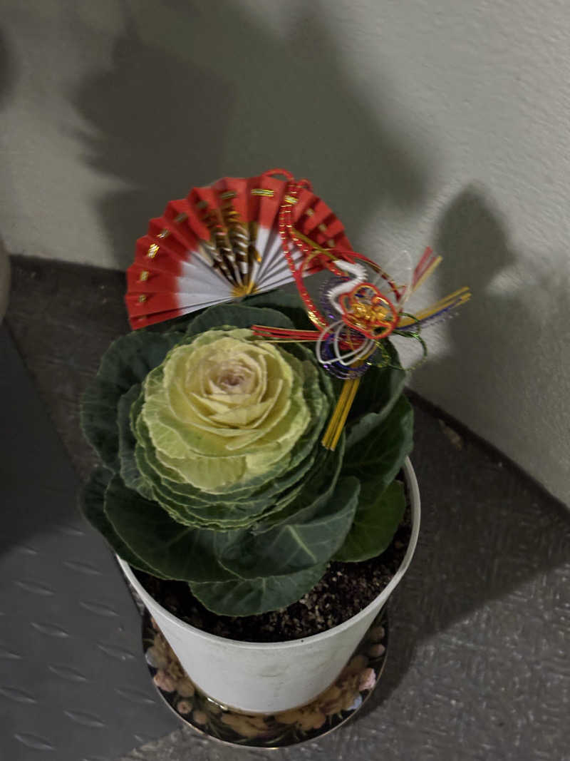 はしびろ(ｲﾝｽﾀ頻度高め)さんのヘルシーバス松の湯のサ活写真