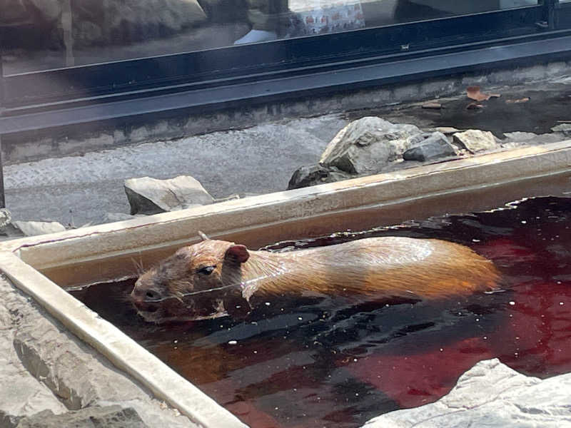 TONOさんの石狩天然温泉 番屋の湯のサ活写真