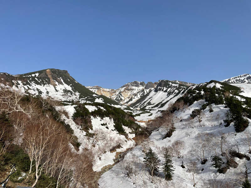 TONOさんの十勝岳温泉 凌雲閣のサ活写真