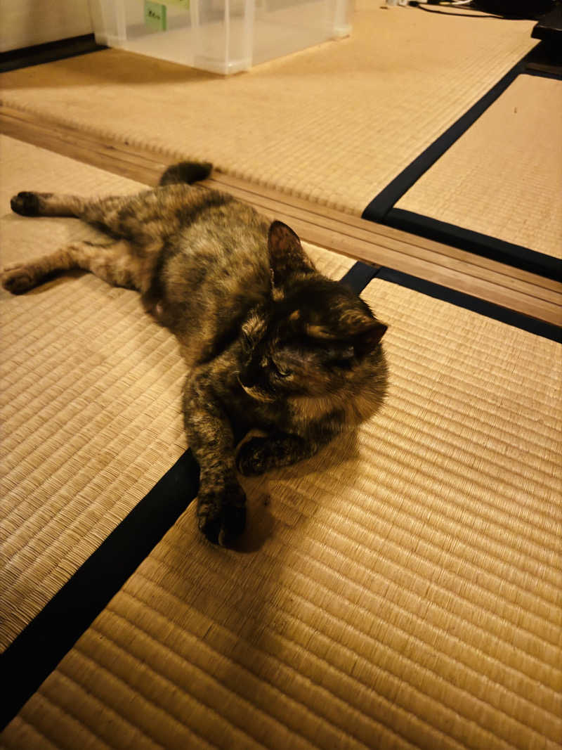 ゆめマルギットさんの御船山楽園ホテル  らかんの湯のサ活写真