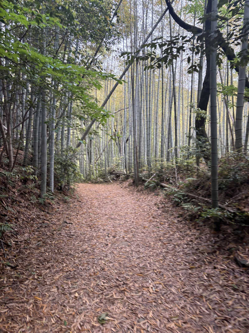 yamatetsuさんの西尾温泉 茶の湯のサ活写真