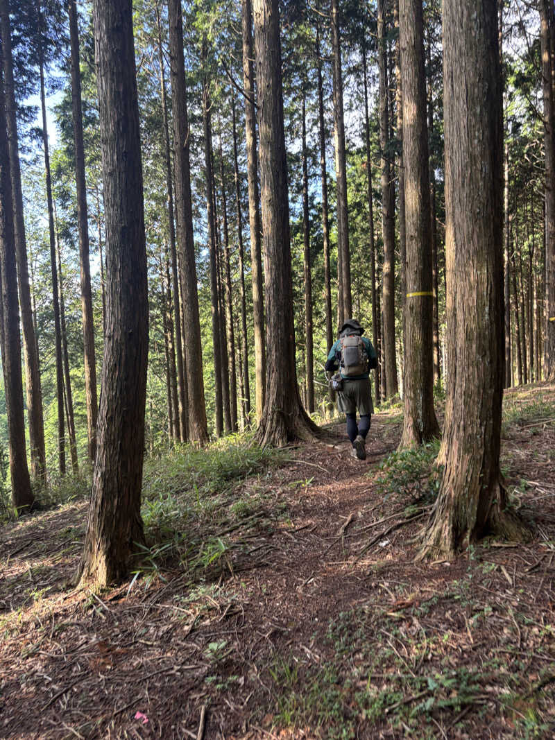 yamatetsuさんの豊田挙母温泉 おいでんの湯のサ活写真
