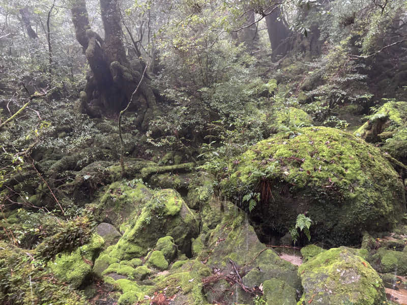yamatetsuさんの縄文の宿まんてんのサ活写真