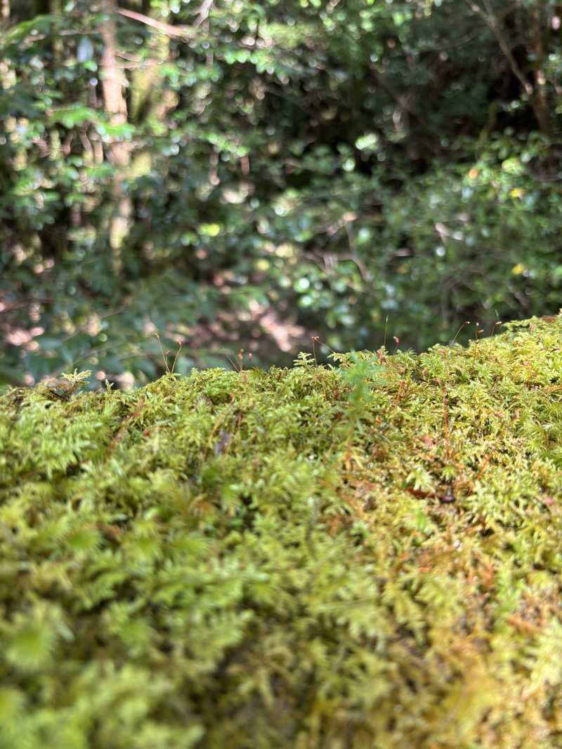 yamatetsuさんの縄文の宿まんてんのサ活写真