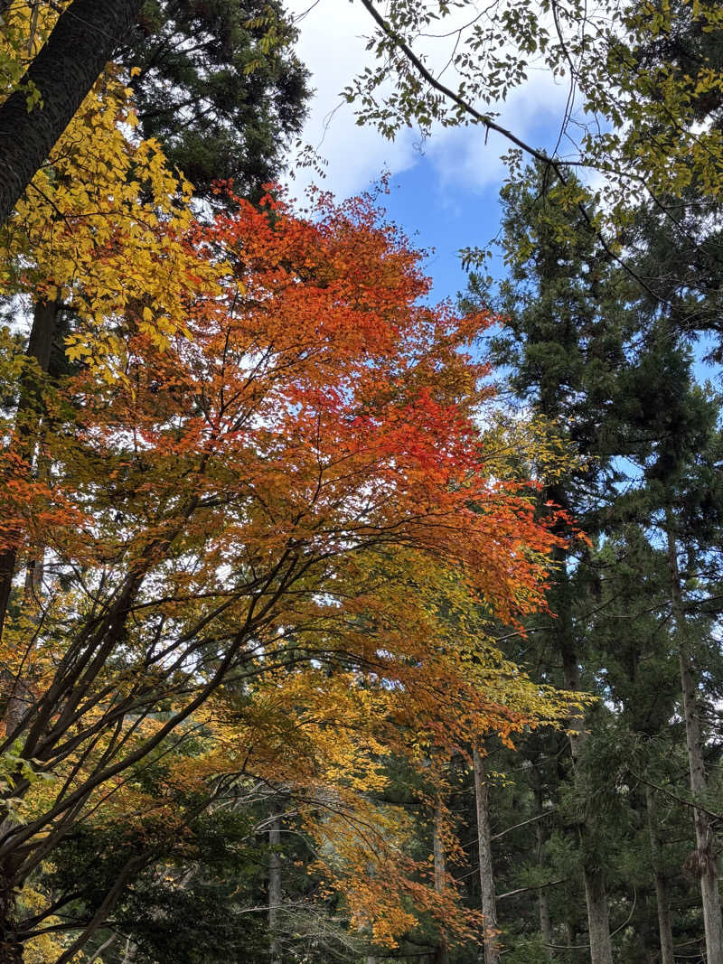 yamatetsuさんの養老温泉 ゆせんの里のサ活写真