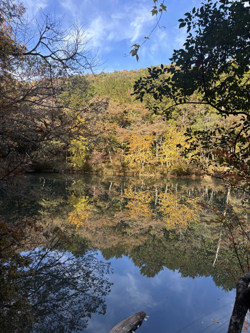 yamatetsuさんの天然温泉コロナの湯 安城店のサ活写真