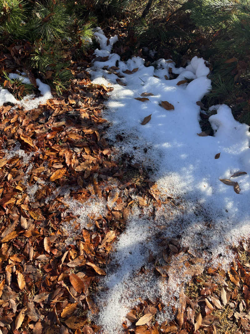 yamatetsuさんの大垣天然温泉 湯の城のサ活写真