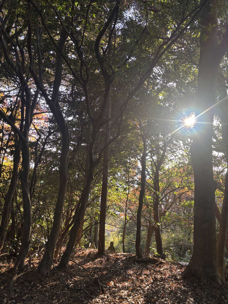 yamatetsuさんのパルスポーツクラブ 6・3のサ活写真