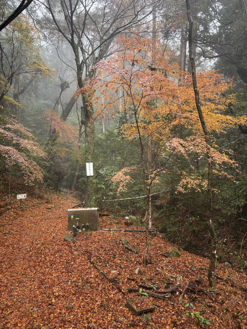 yamatetsuさんのパルスポーツクラブ 6・3のサ活写真