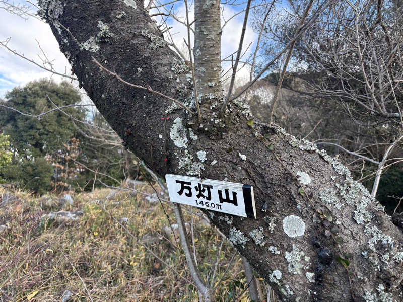 yamatetsuさんのパルスポーツクラブ 6・3のサ活写真