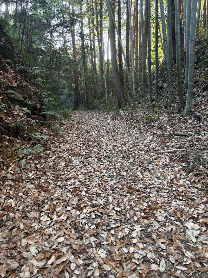 yamatetsuさんのパルスポーツクラブ 6・3のサ活写真