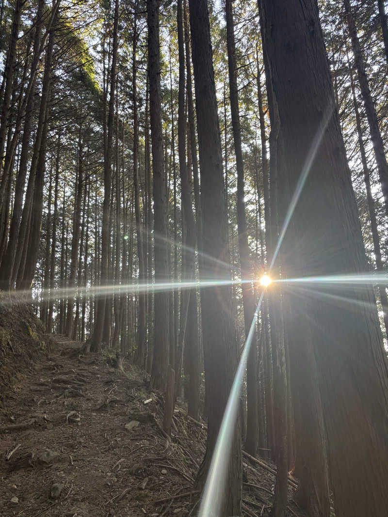 yamatetsuさんのパルスポーツクラブ 6・3のサ活写真
