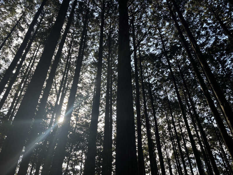 yamatetsuさんのパルスポーツクラブ 6・3のサ活写真