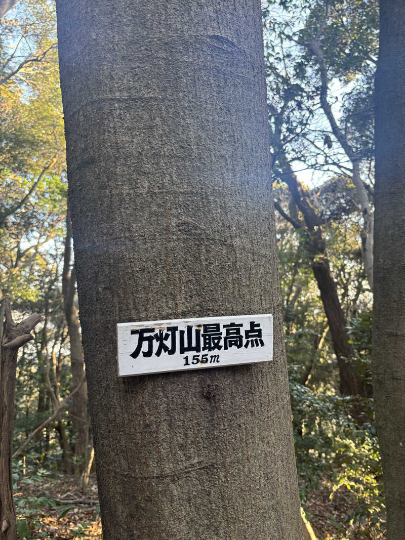 yamatetsuさんのパルスポーツクラブ 6・3のサ活写真