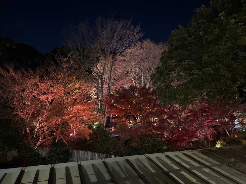 おーもりさんの豊島園 庭の湯のサ活写真