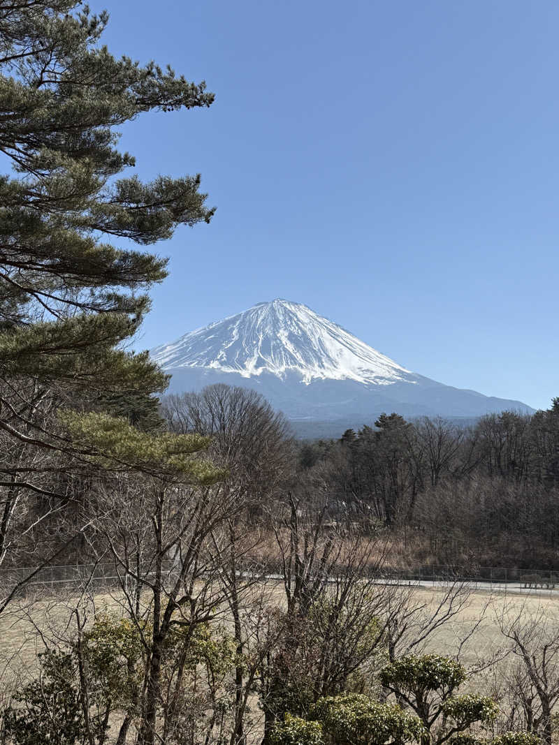 おーもりさんの富士眺望の湯 ゆらりのサ活写真