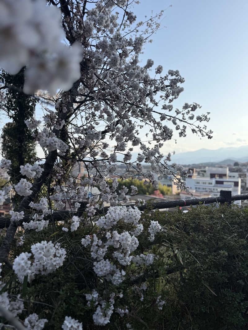 おーもりさんの摺上亭大鳥のサ活写真