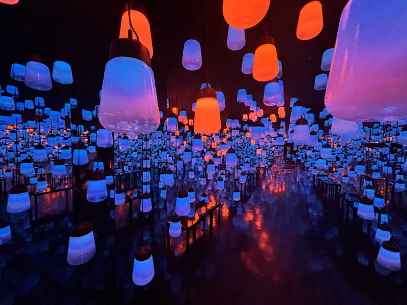 ジャムおじさんさんの御船山楽園ホテル  らかんの湯のサ活写真