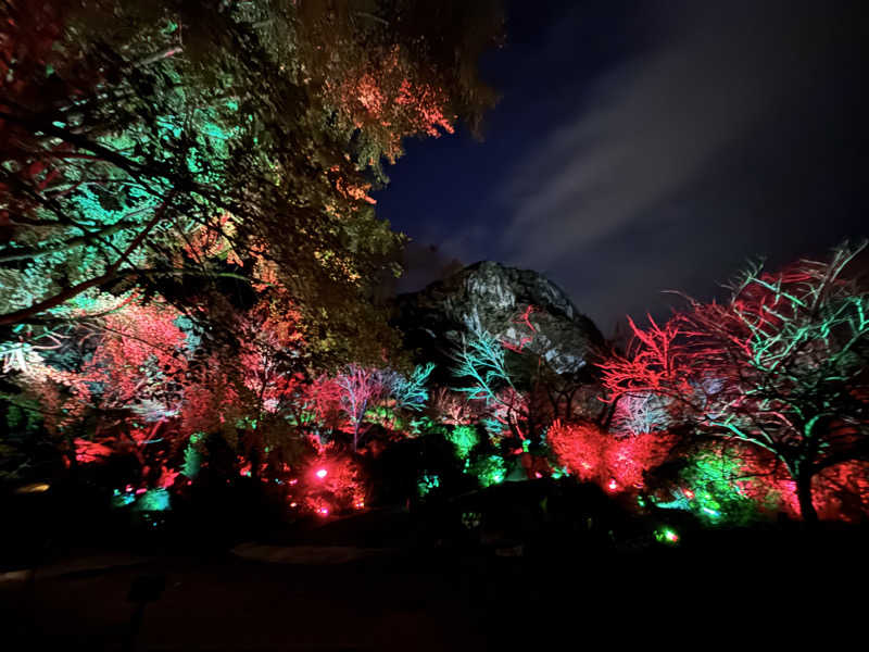 ジャムおじさんさんの御船山楽園ホテル  らかんの湯のサ活写真