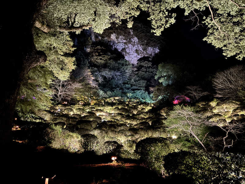 ジャムおじさんさんの御船山楽園ホテル  らかんの湯のサ活写真