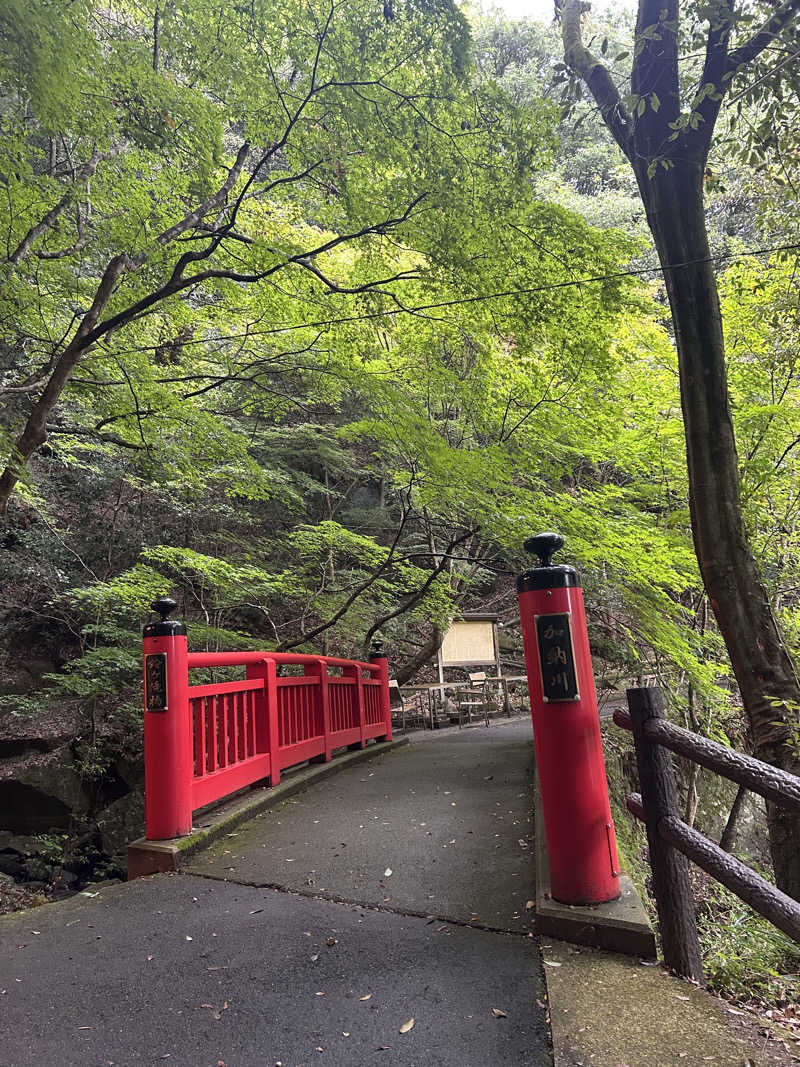 由紀さんの猿投温泉 金泉の湯のサ活写真