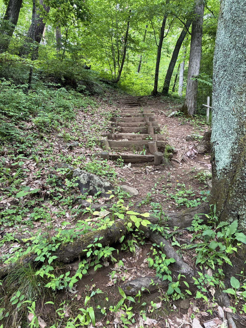 ウシくんさんのヘルシーランド福島のサ活写真