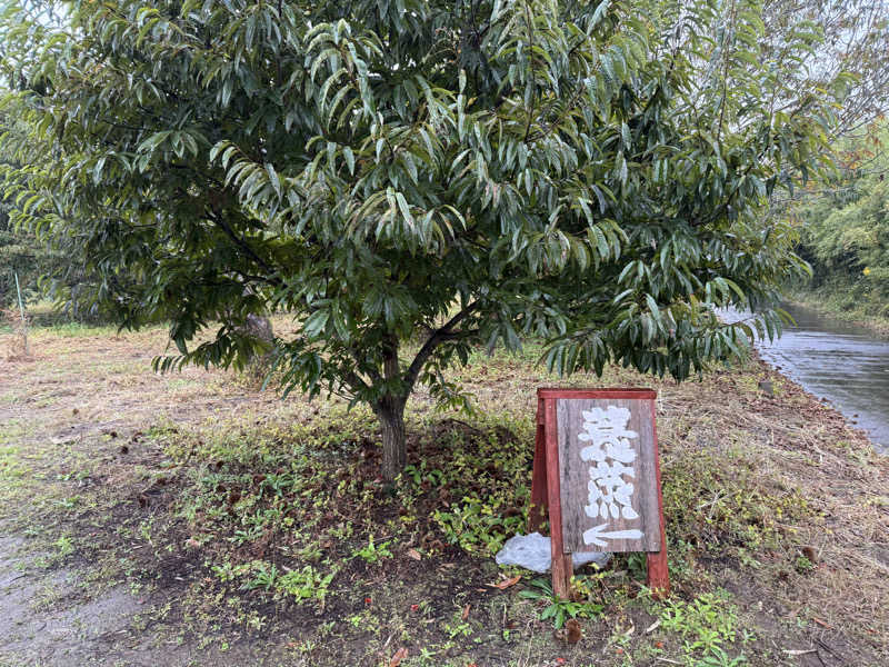 ぽてと侍さんのサウナ蓑蒸のサ活写真