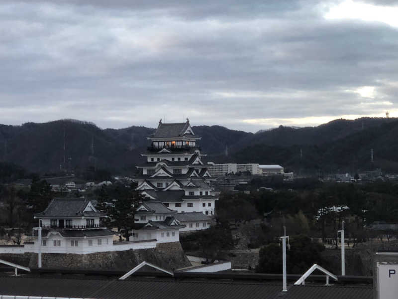 西園寺さんのカプセル&サウナ日本のサ活写真