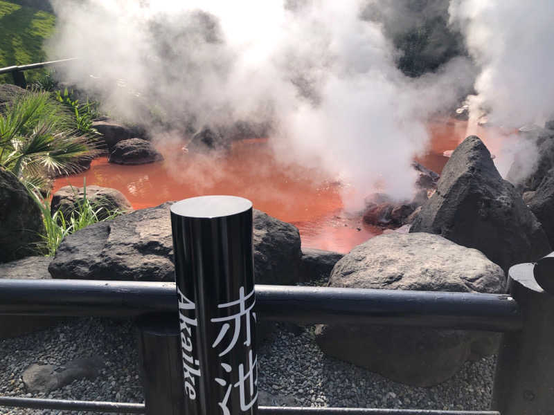 西園寺さんのホテル山水館のサ活写真