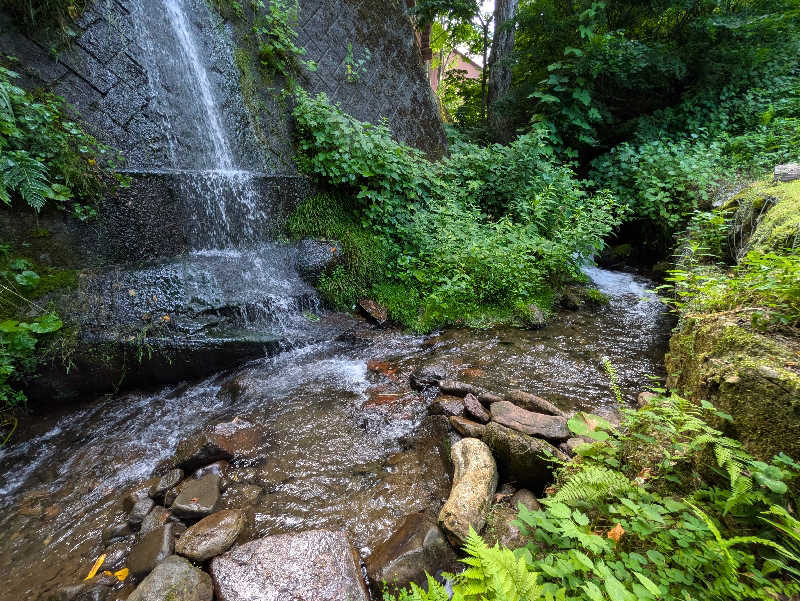 もももさんのハネサウナのサ活写真