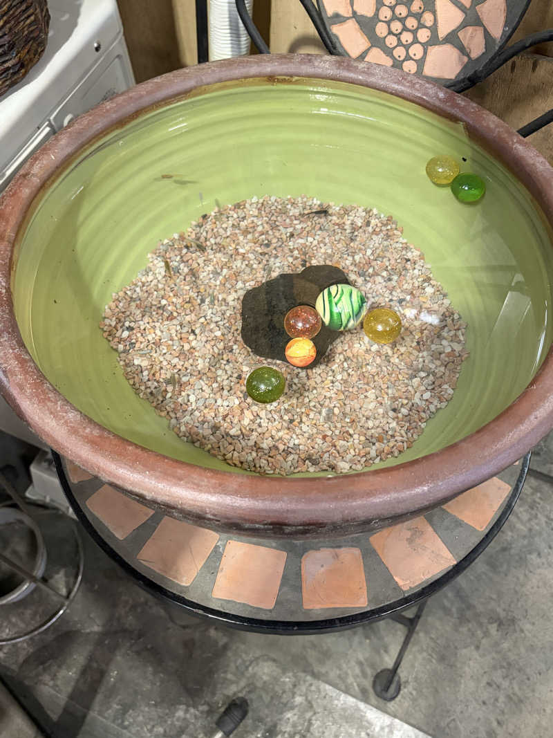 マコトさんの林檎の湯屋 おぶ～のサ活写真