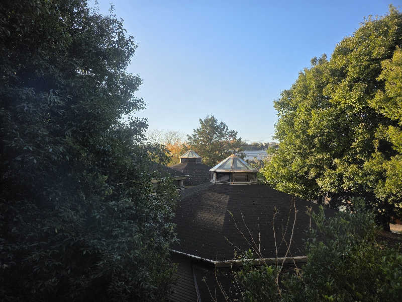 天然の妻@自分ツッコミくま好きさんの伊豆畑毛温泉 大仙家のサ活写真