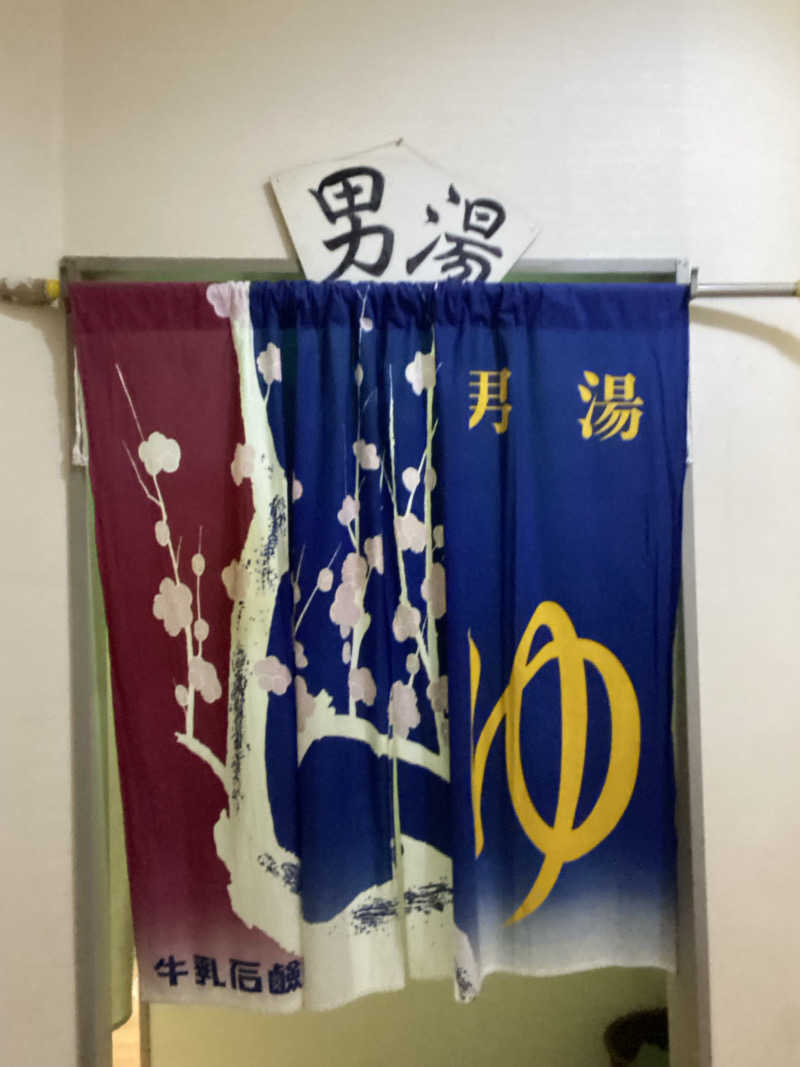 エキゾチックヤスさんのニュー銭湯 豊川のサ活写真