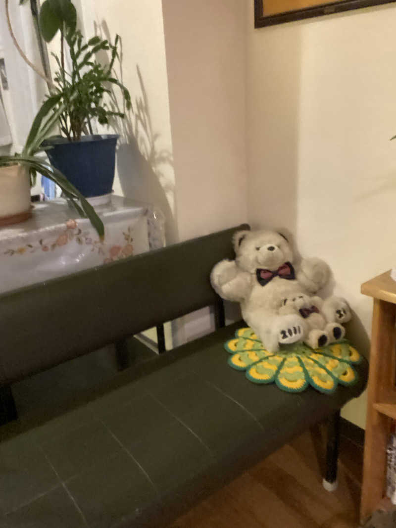 エキゾチックヤスさんのニュー銭湯 豊川のサ活写真