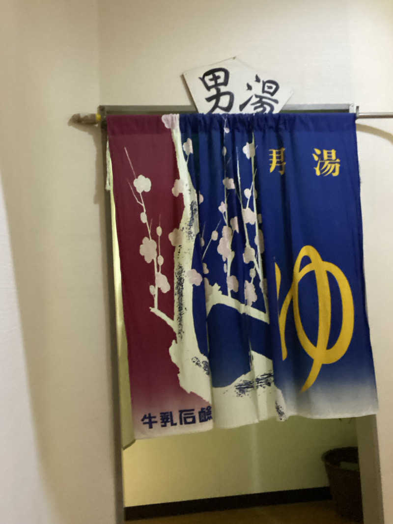 エキゾチックヤスさんのニュー銭湯 豊川のサ活写真