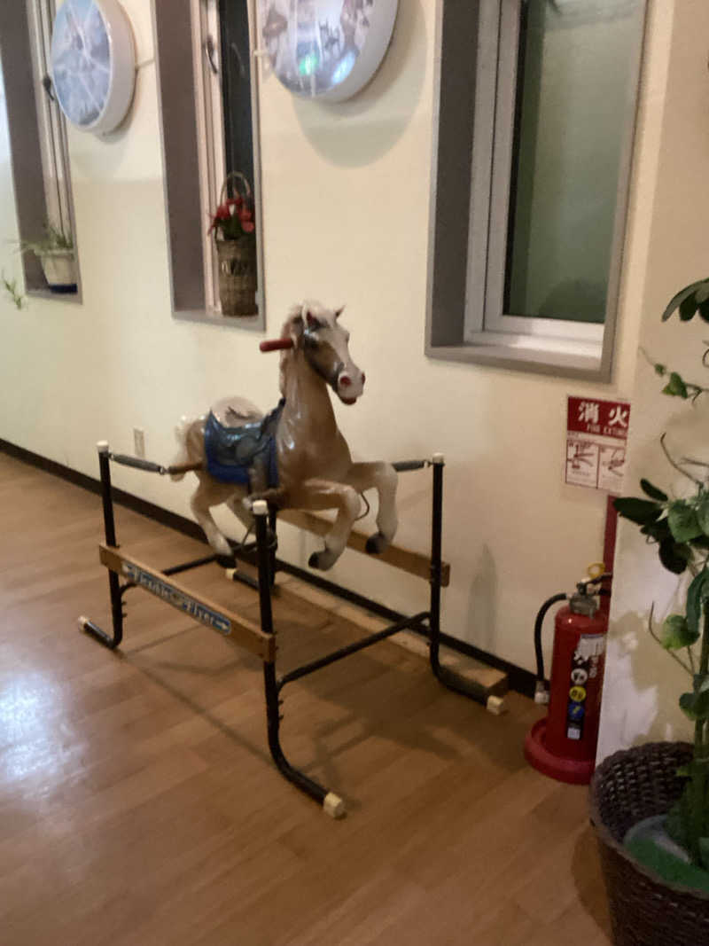 エキゾチックヤスさんのニュー銭湯 豊川のサ活写真