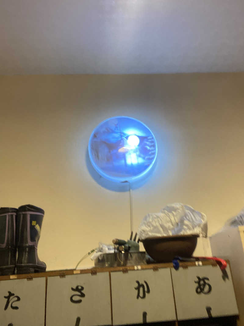 エキゾチックヤスさんのニュー銭湯 豊川のサ活写真