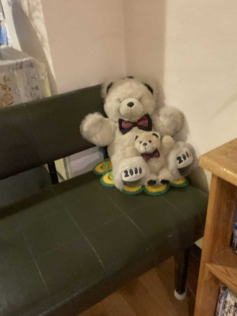 エキゾチックヤスさんのニュー銭湯 豊川のサ活写真